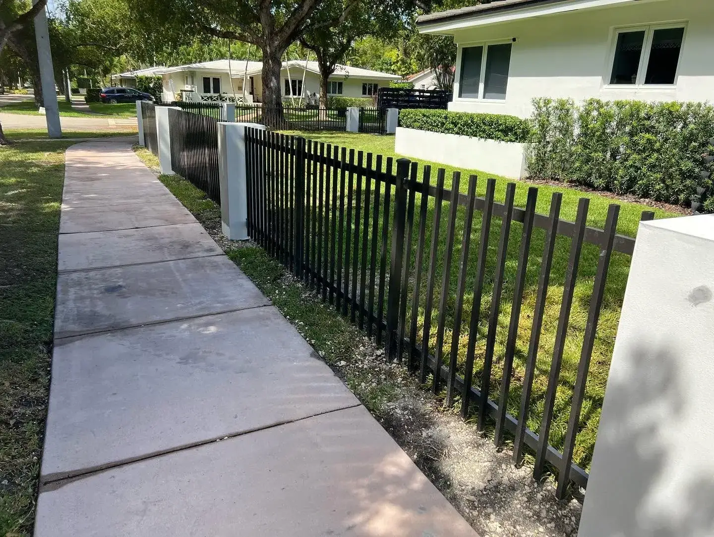 Black aluminum picket fence along a Miami sidewalk
