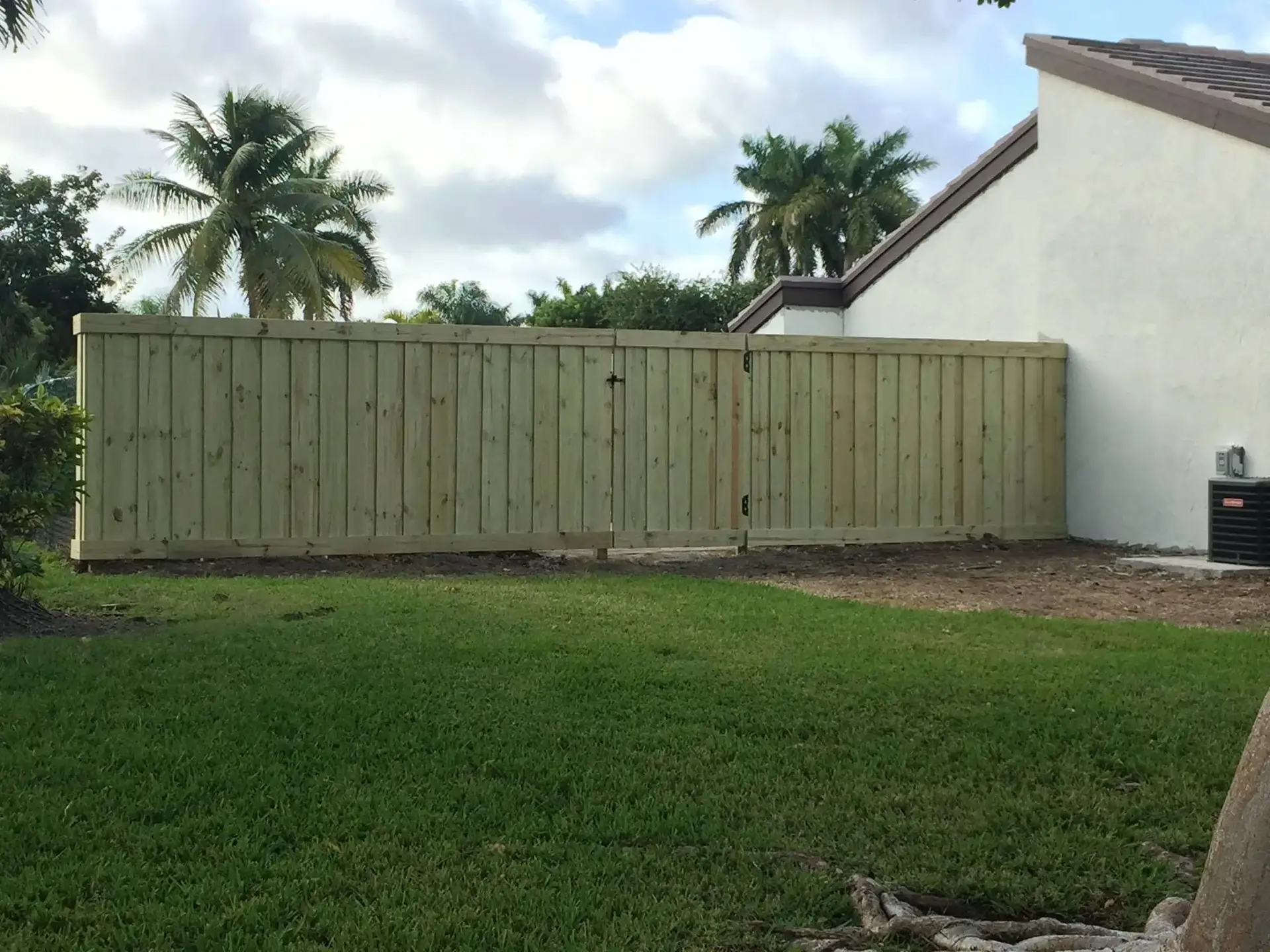 Pressure-treated wood privacy fence in a Miami backyard